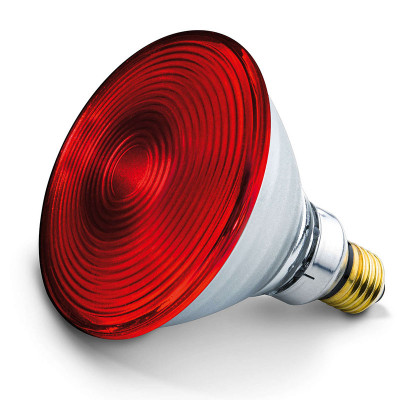 Λάμπα θερμοθεραπείας υπερύθρων ισχύος 150 Watts Beurer IL 21 Θερμοθεραπεία - Κρυοθεραπεία